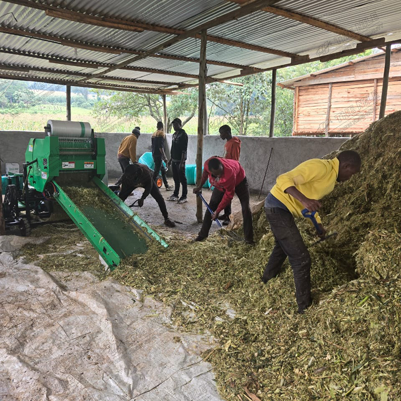 China Corn Silage Grass Harves - Silage Baler Machine 评论和价格