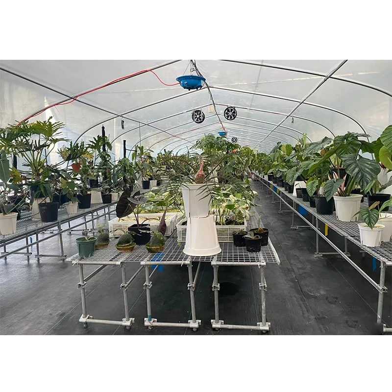 # l Low Cost Farm Singlespan G - Organic Farming Of Agriculture 评论和价格
