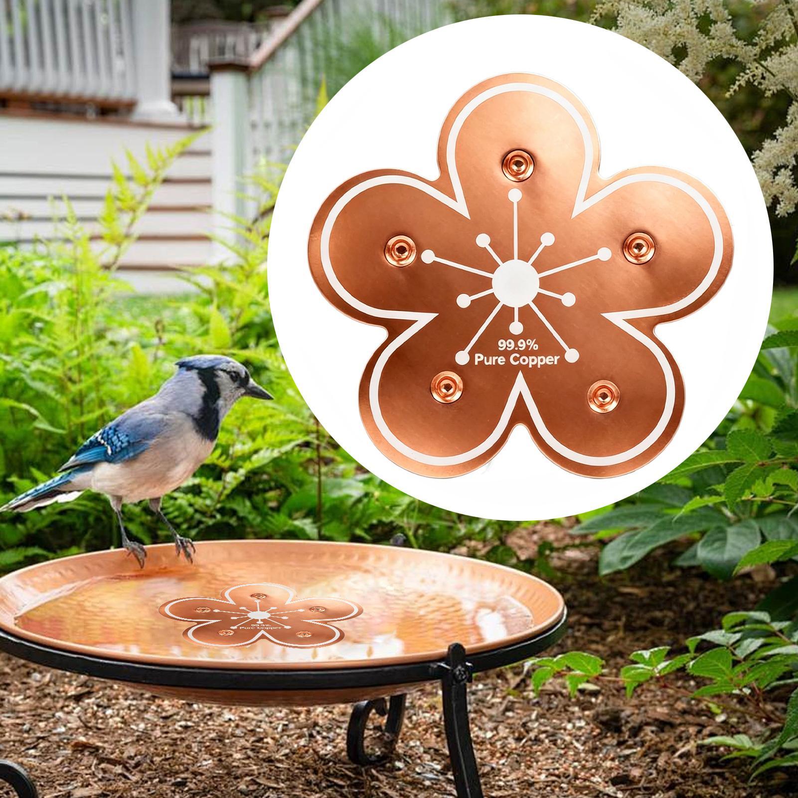Bird bath tray Copper Bird Bat - Farming And Agriculture 评论和价格