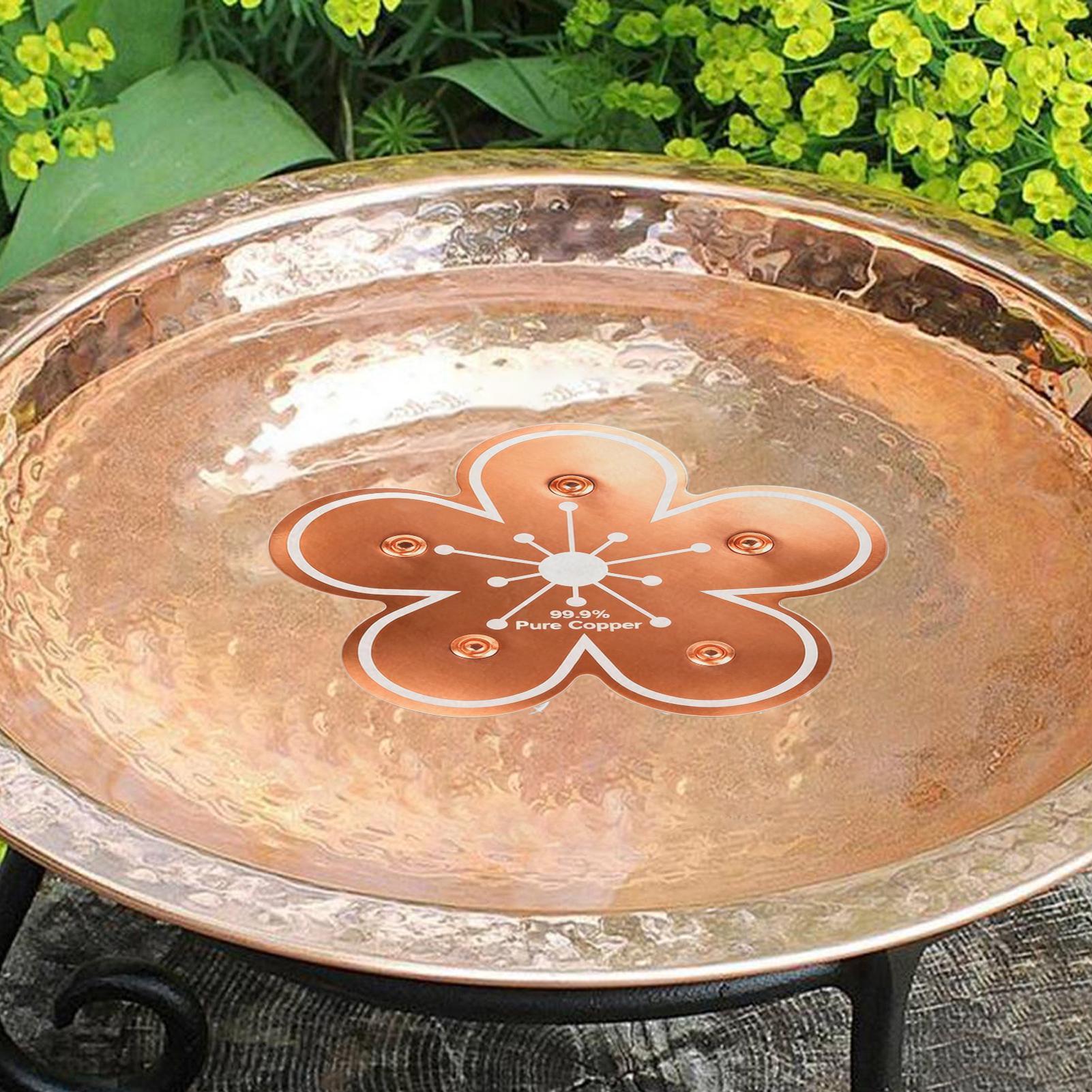 Bird bath tray Copper Bird Bat - Farming And Agriculture 评论和价格