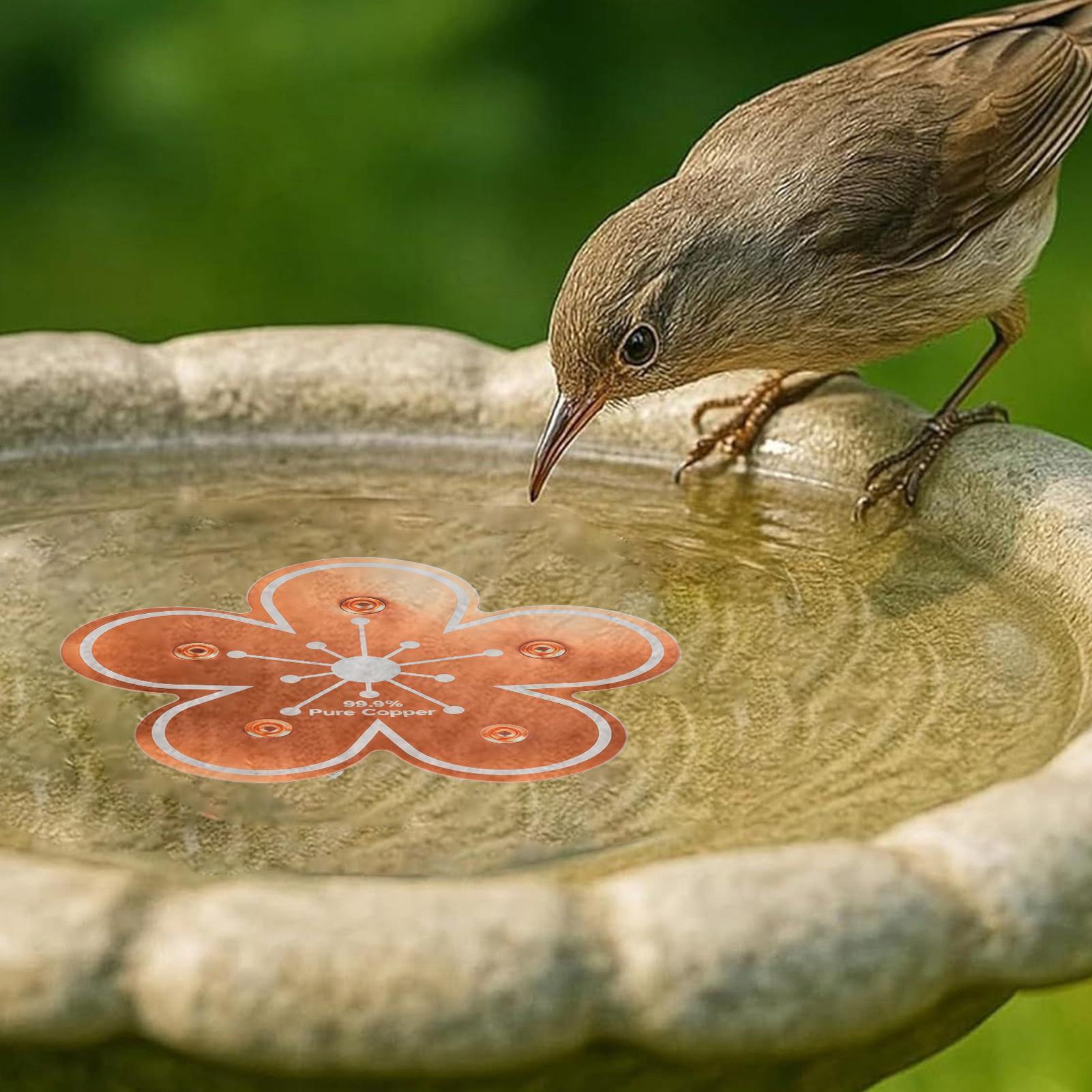 Bird bath tray Copper Bird Bat - Farming And Agriculture 评论和价格