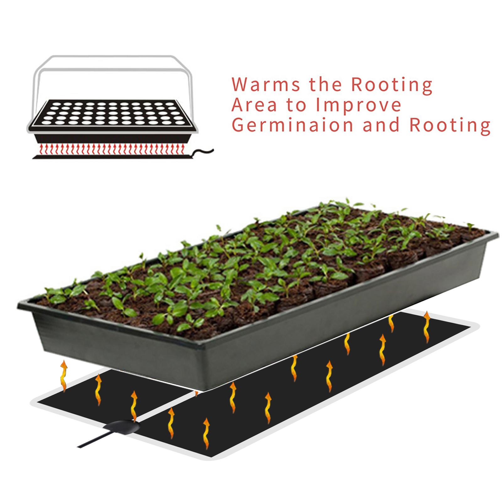 5~45W Seedling Heat Mat 220V~2 - Plant Growth Regulator 评论和价格
