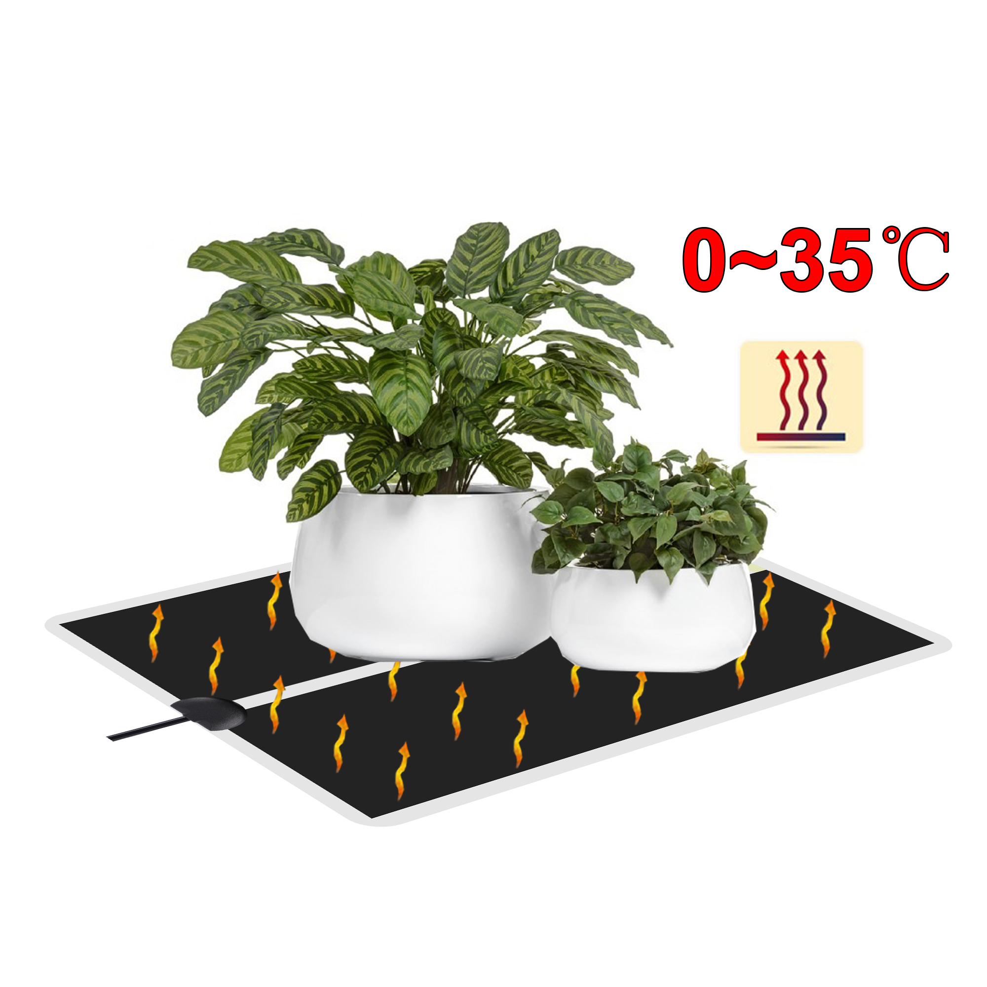 5~45W Seedling Heat Mat 220V~2 - Plant Growth Regulator 评论和价格