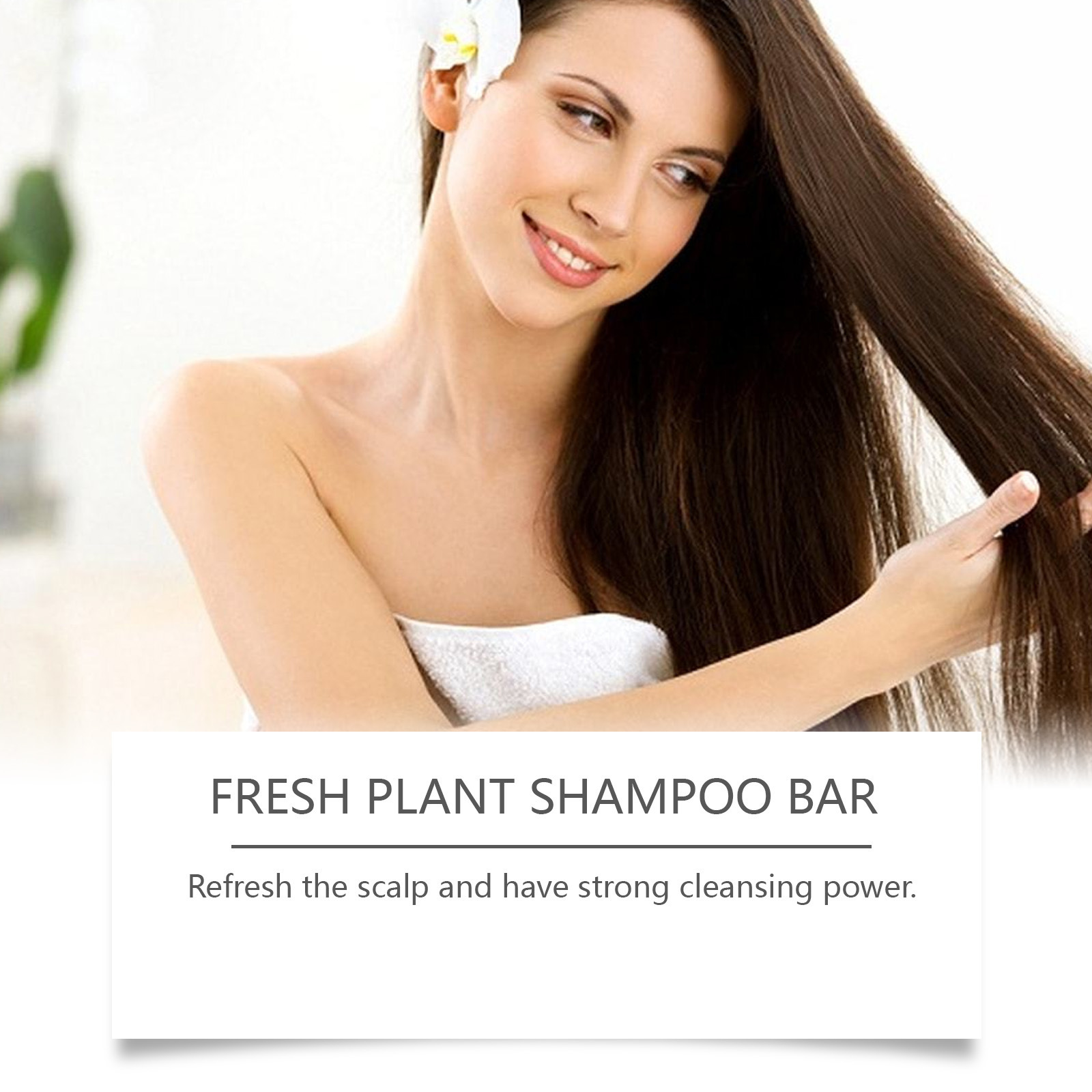 Rosemary Shampoo Bar Anti Hair - Plant Growth Regulator 评论和价格