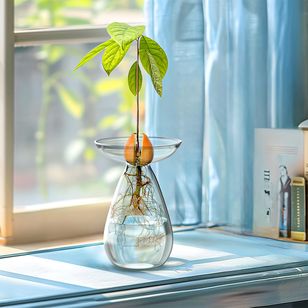 Avocado Seed Starter Vase Tran - Plant Growth Regulator 评论和价格