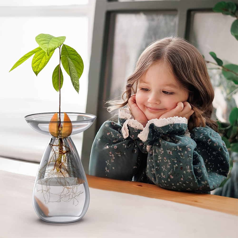 Avocado Seed Starter Vase Tran - Plant Growth Regulator 评论和价格