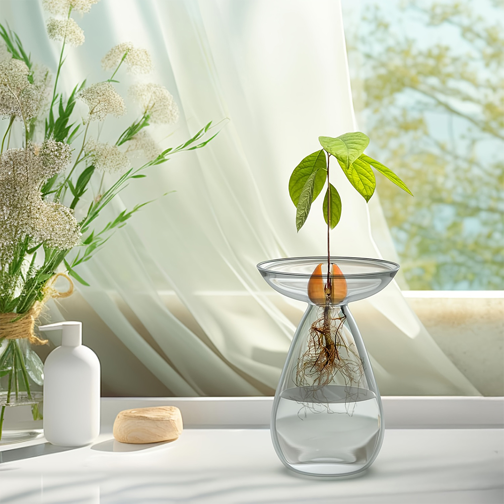 Avocado Seed Starter Vase Tran - Plant Growth Regulator 评论和价格