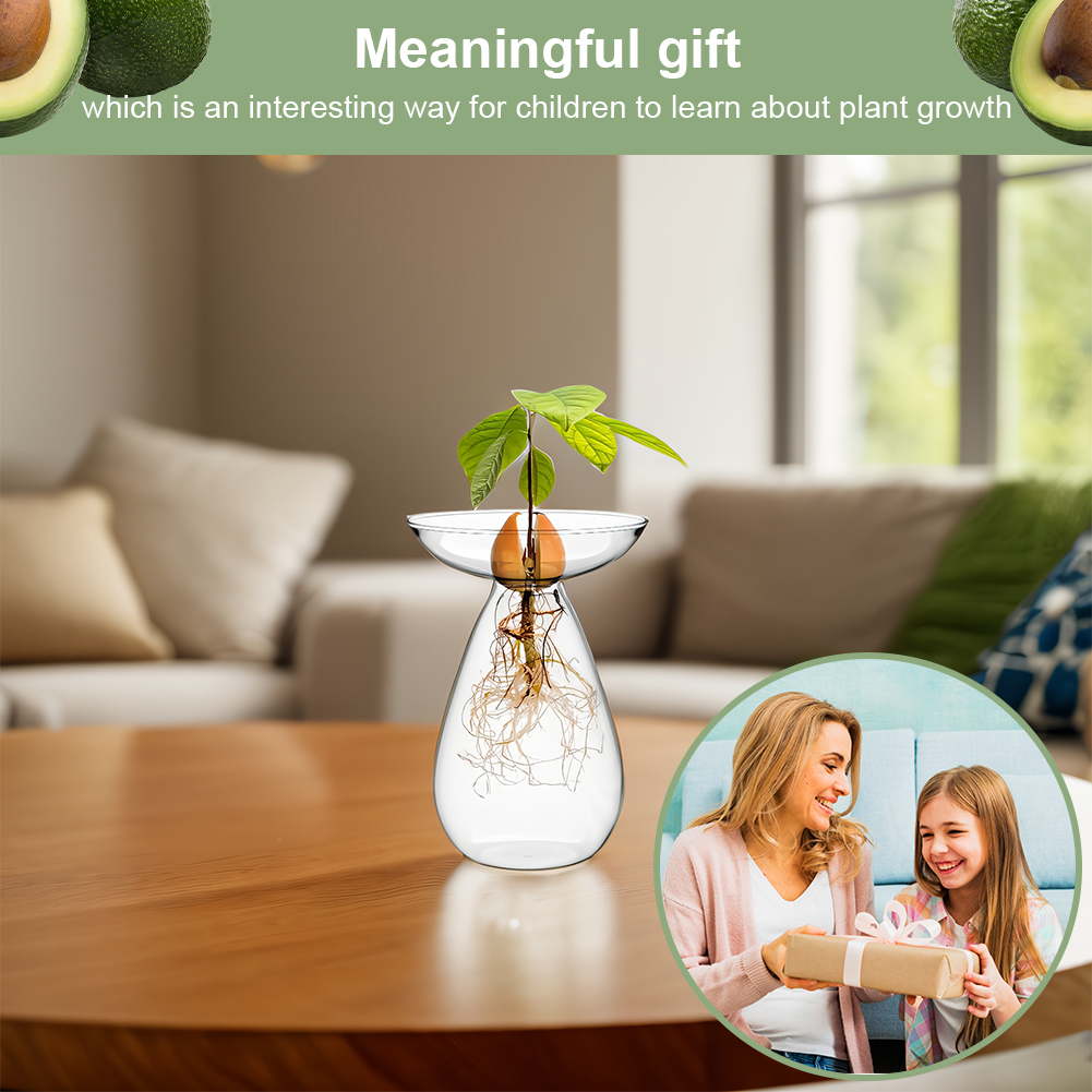 Avocado Seed Starter Vase Tran - Plant Growth Regulator 评论和价格