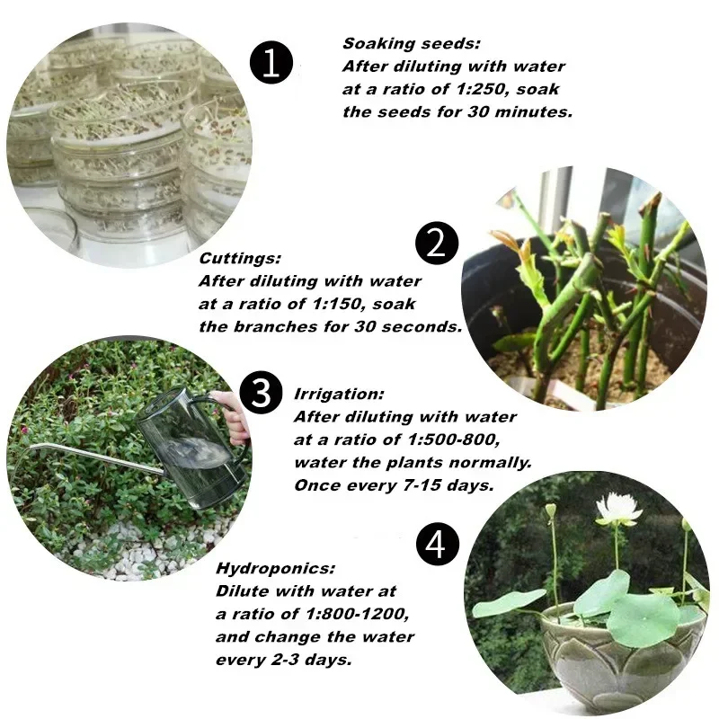 10g Quickly Rooting Powder Hor - Plant Growth Regulator 评论和价格