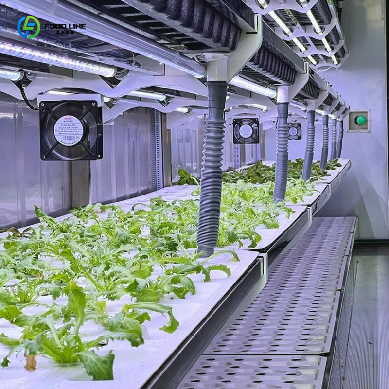 Customized Custom Container Fa - Organic Farming Of Agriculture 评论和价格