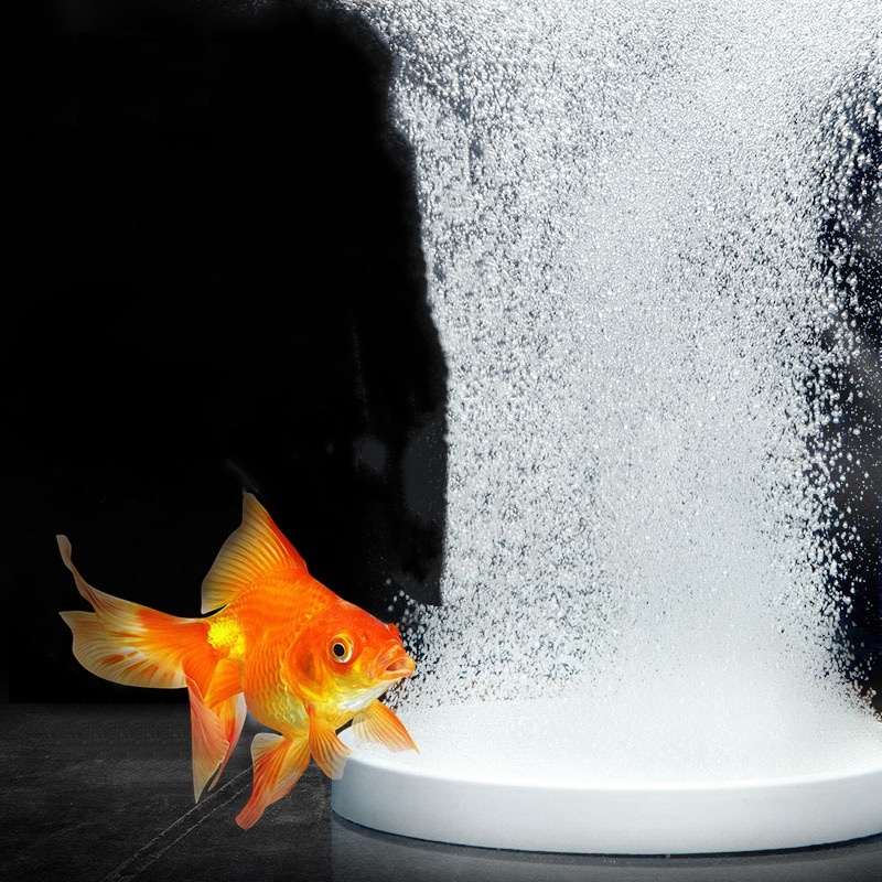 Air Stone Oxygen Fish Tank Aqu - Fish Pond Aerator 评论和价格