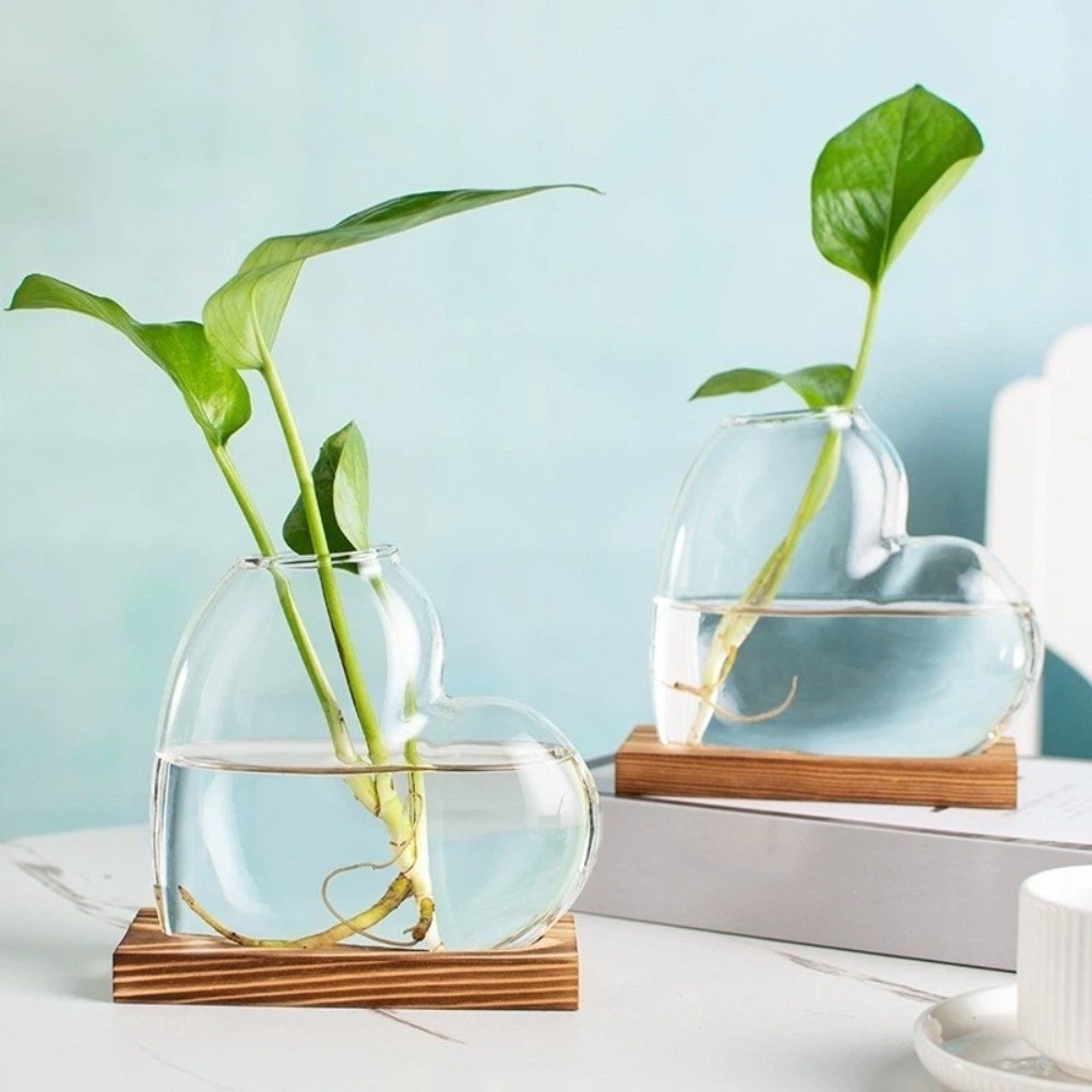 Transparent Hydroponic Glass V - Plant Growth Regulator 评论和价格