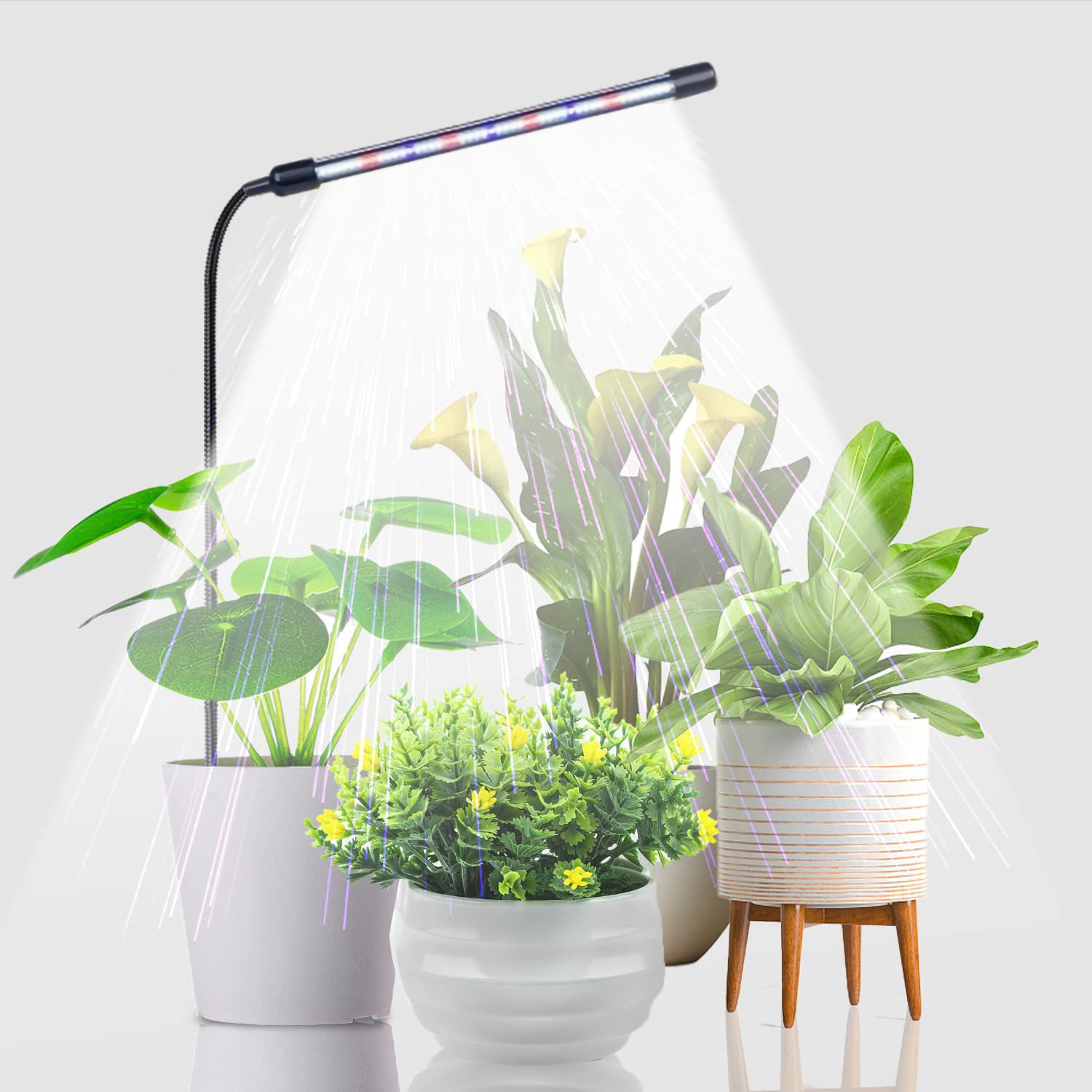 Plant Growth Light Full Spectr - Plant Growth Regulator 评论和价格